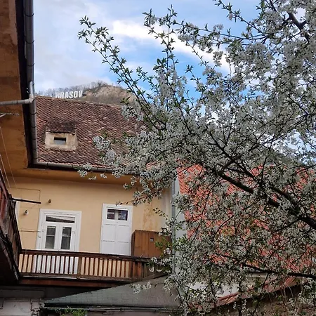 Apartment Bon Centru Vechi 3*